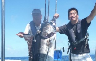6出船連続で釣れたカジキ