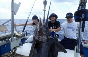 釣り上げたカジキと三人の若い男