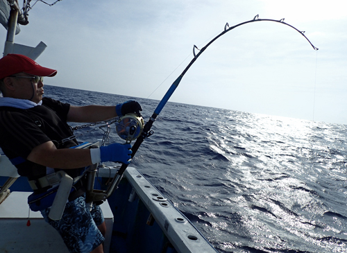 Marlin fishing in okinawa