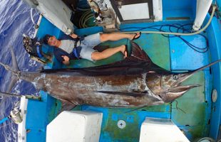 クレーンズ沖縄、鶴丸のトローリングで230kgのカジキを釣り上げた香港から来た若い男性