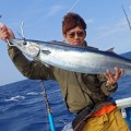 トローリングで釣り上げたカマスサワラ