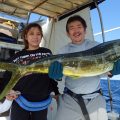 mahimahi fishing in okinawa japan