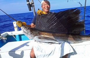 トローリング釣れたバショウカジキ
