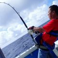 カジキを釣っている栃木県の男性