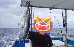 カツオ