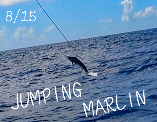 jumping marlin in okinawa japan