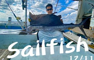 sailfish fishing in okinawa japan