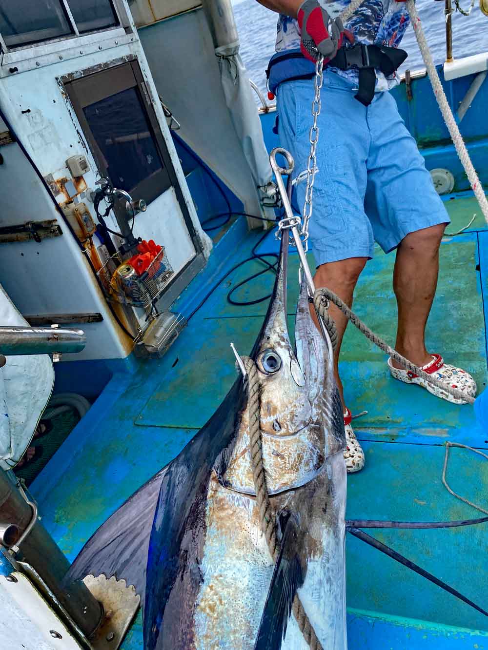 カジキを船に引き上げる釣り師