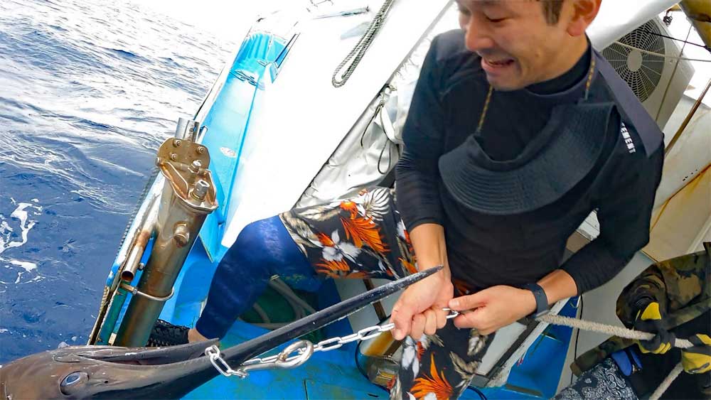 釣り上げたカジキを船に引き上げている男性