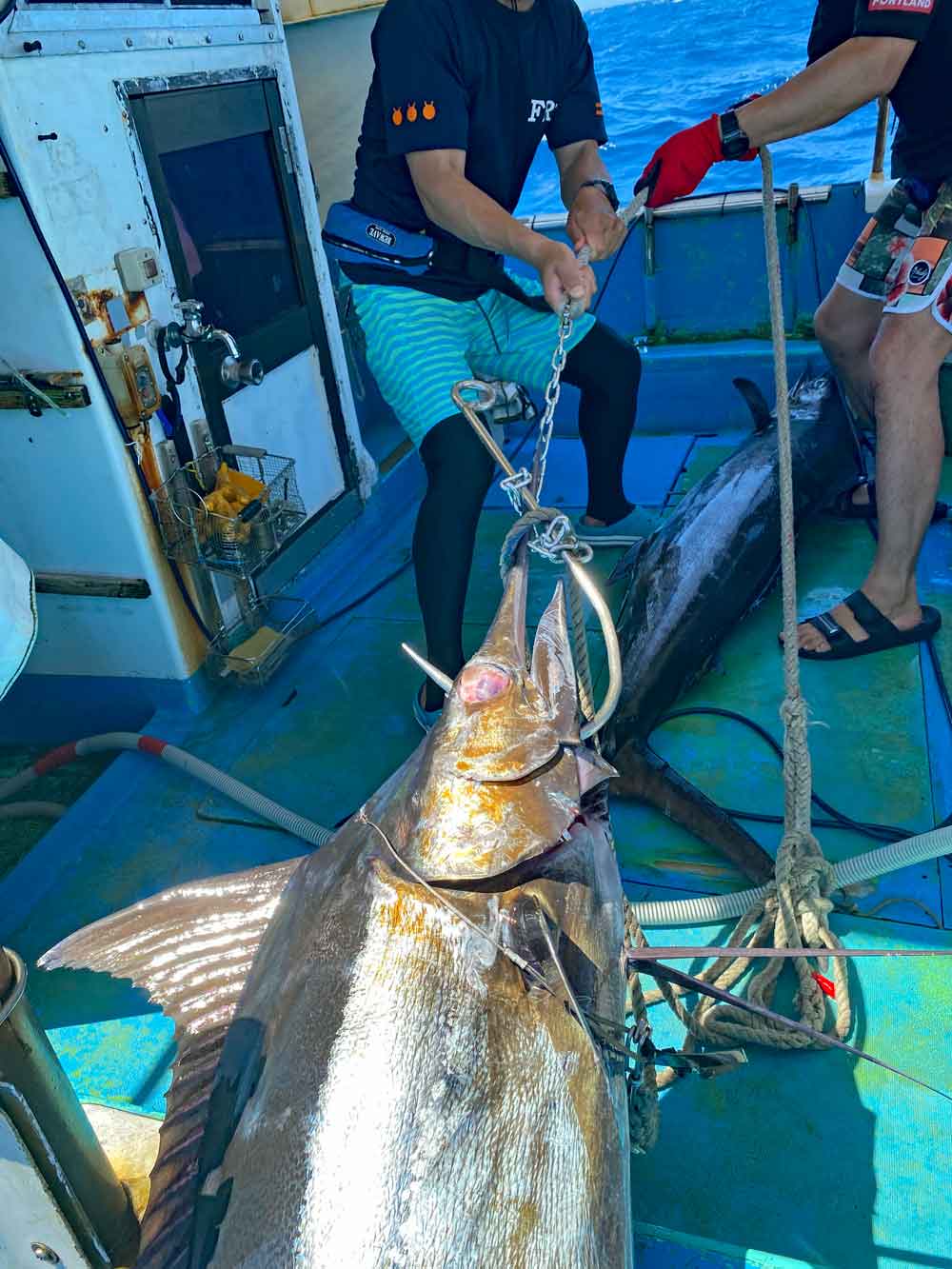 沖縄のトローリングでダブルヒットでデッキに横たわるカジキと2匹目のカジキを船に引き上げている2人の男性