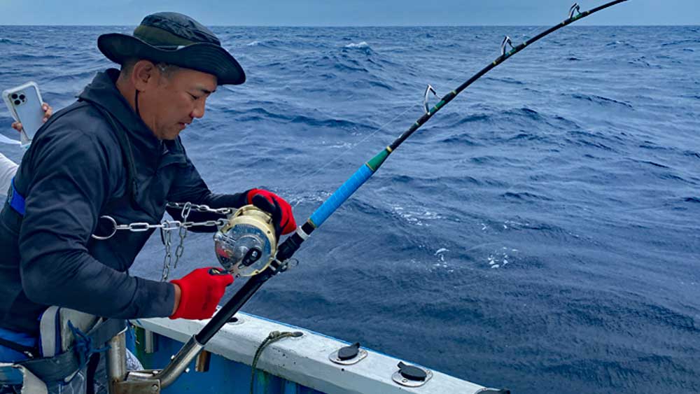 沖縄のトローリングでキハダマグロ釣りをしている男性