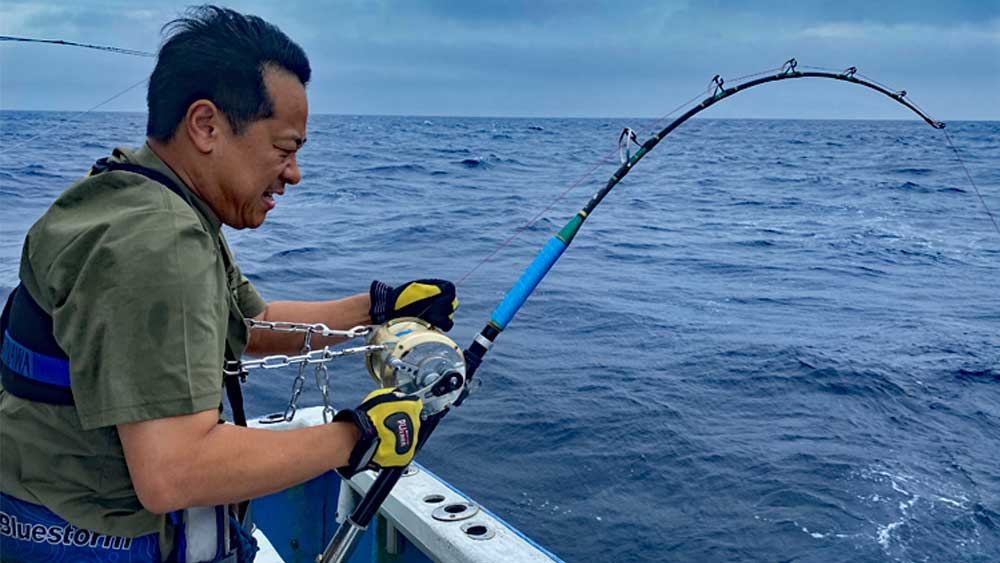 沖縄のトローリングでキハダマグロ釣りをしている男性