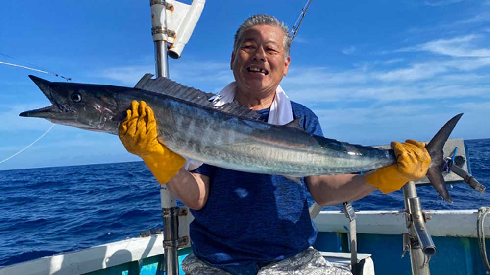 トローリングで釣り上げたカマスサワラ