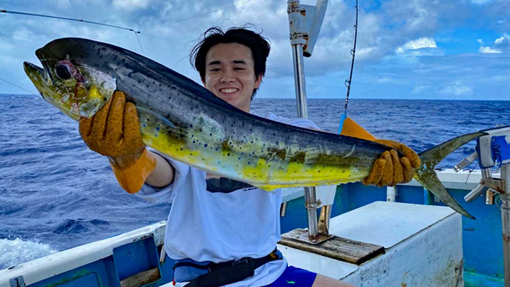 ライトトローリングで釣り上げたシイラ