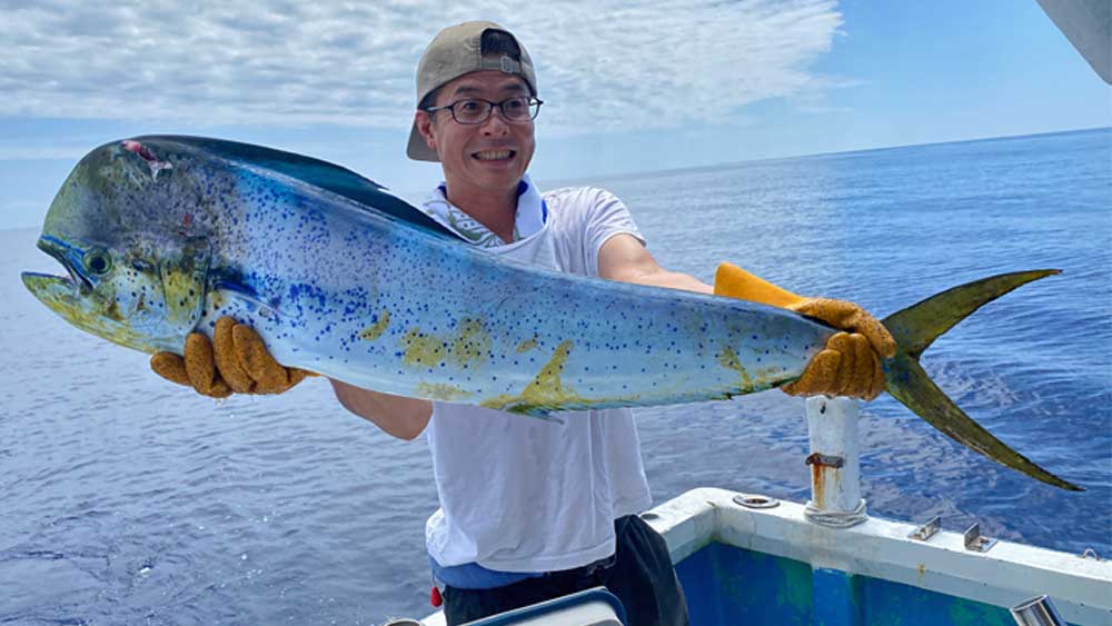 ライトトローリングで釣れたシイラ