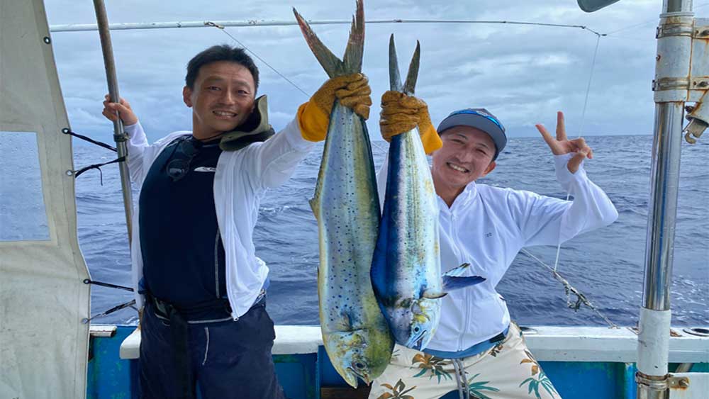 トローリングのダブルヒットでシイラ2本釣れる