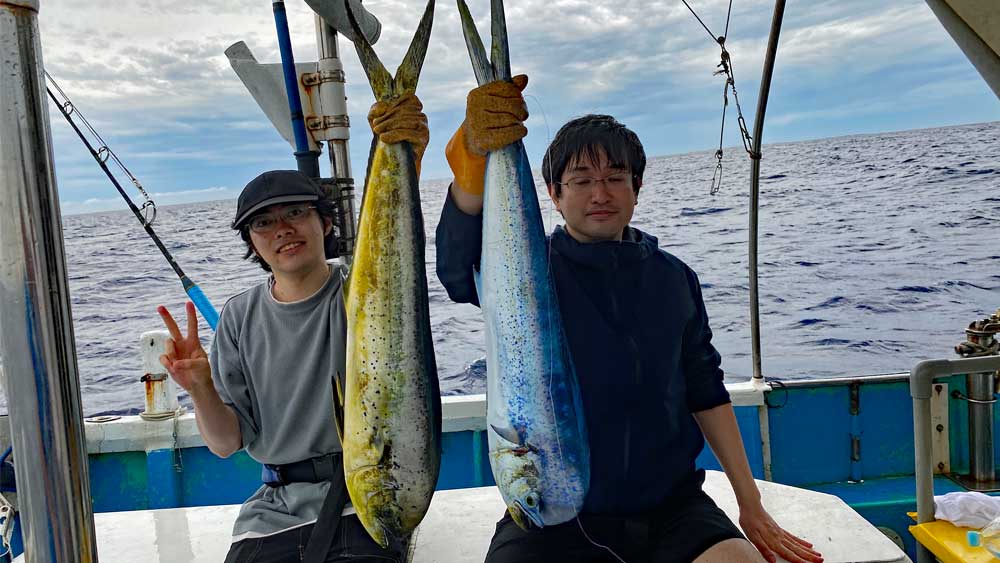 トローリングでダブルヒットで釣り上げた2本のシイラ