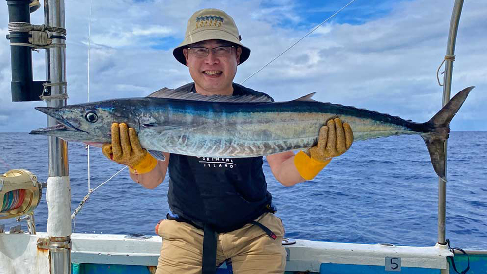 トローリングで釣り上げたカマスサワラ