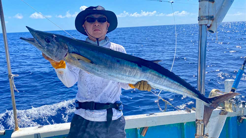 沖縄のトローリングで釣り上げた大物カマスサワラ