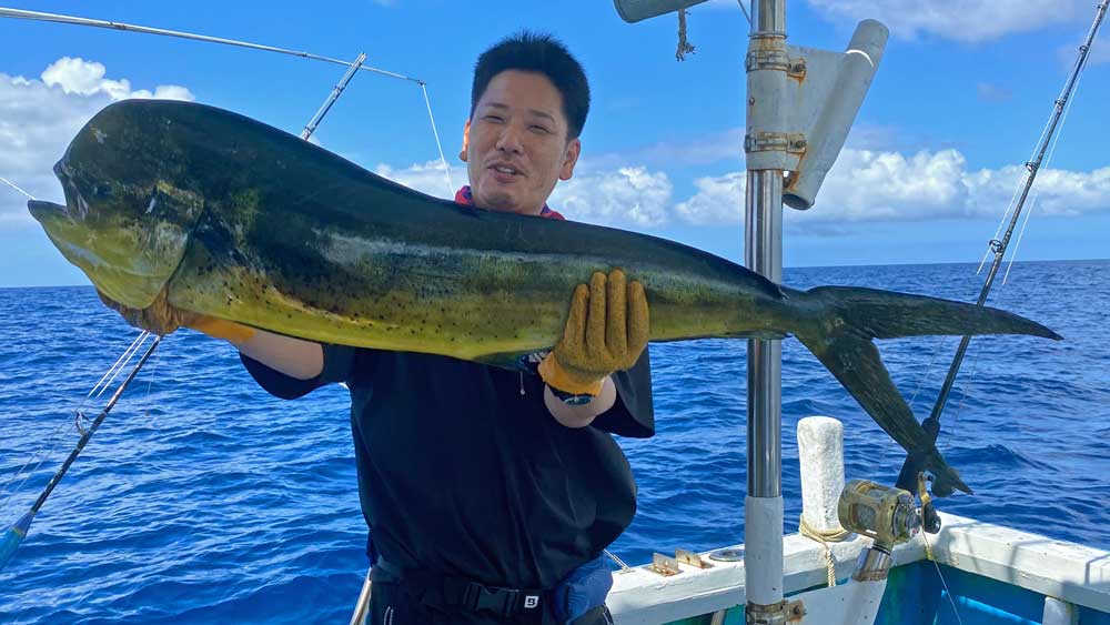 トローリングで釣り上げた沖縄のシイラ