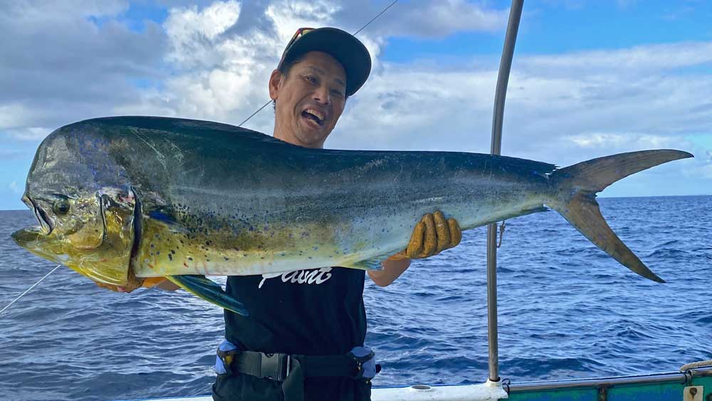 トローリングで釣り上げた大物シイラ