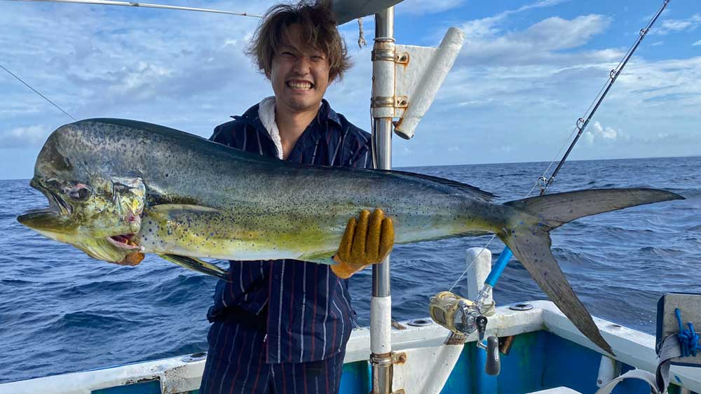 トローリングで大物シイラを釣り上げた男性