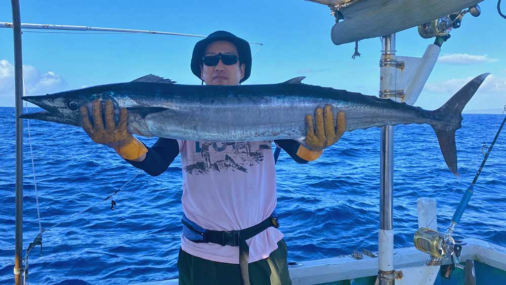 沖縄のトローリングで釣り上げたサワラ