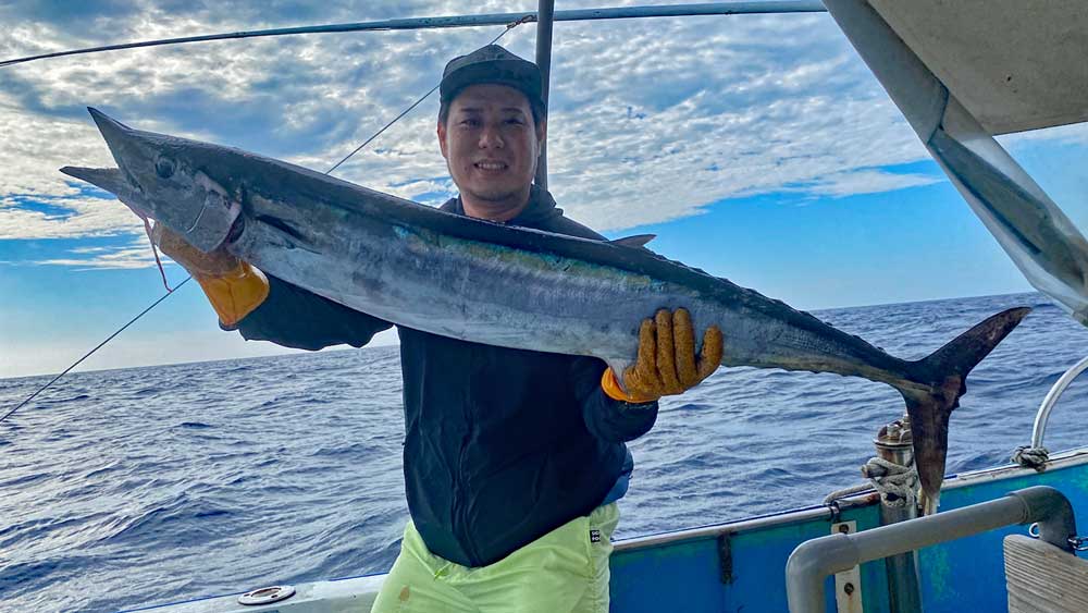 釣り上げたカマスサワラ