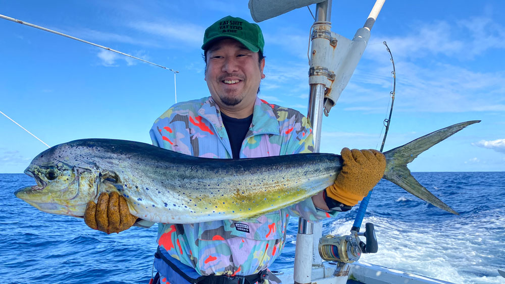 トローリングで釣り上げたメスのシイラ