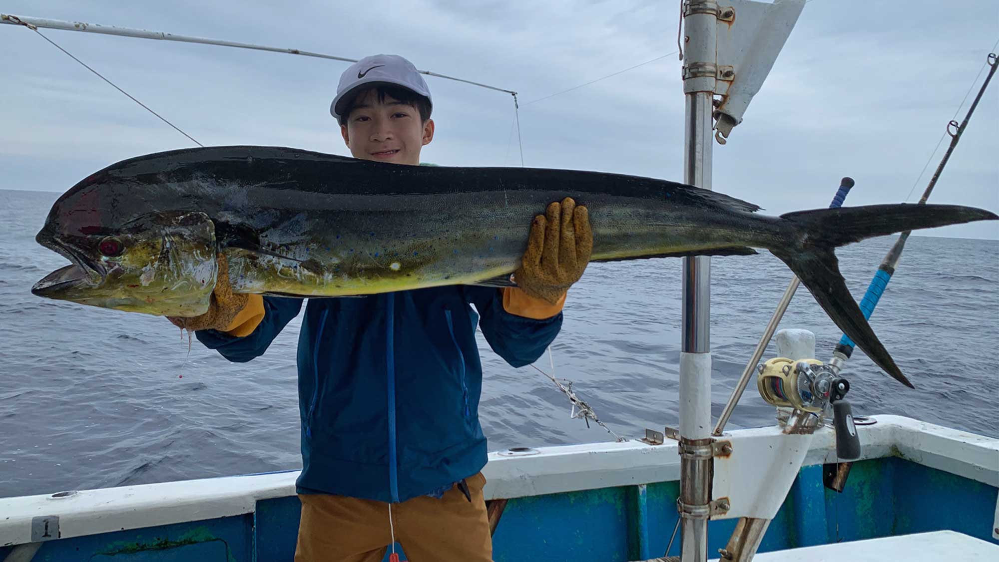 トローリングで釣り上げたシイラ