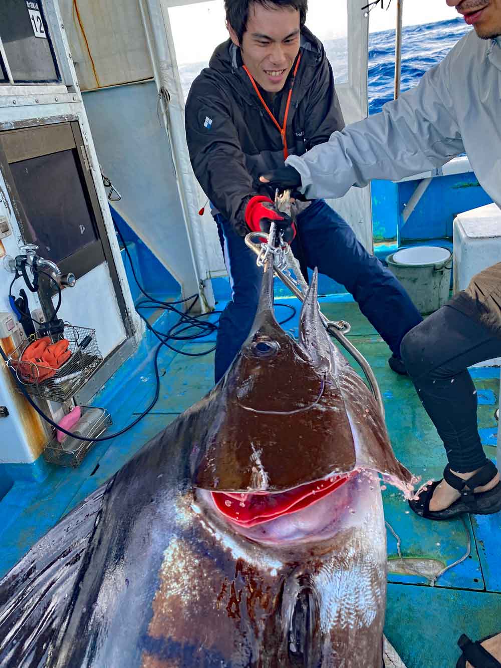 2025年の元旦にトローリングで釣れたバショウカジキを船に引き上げている二人の男性