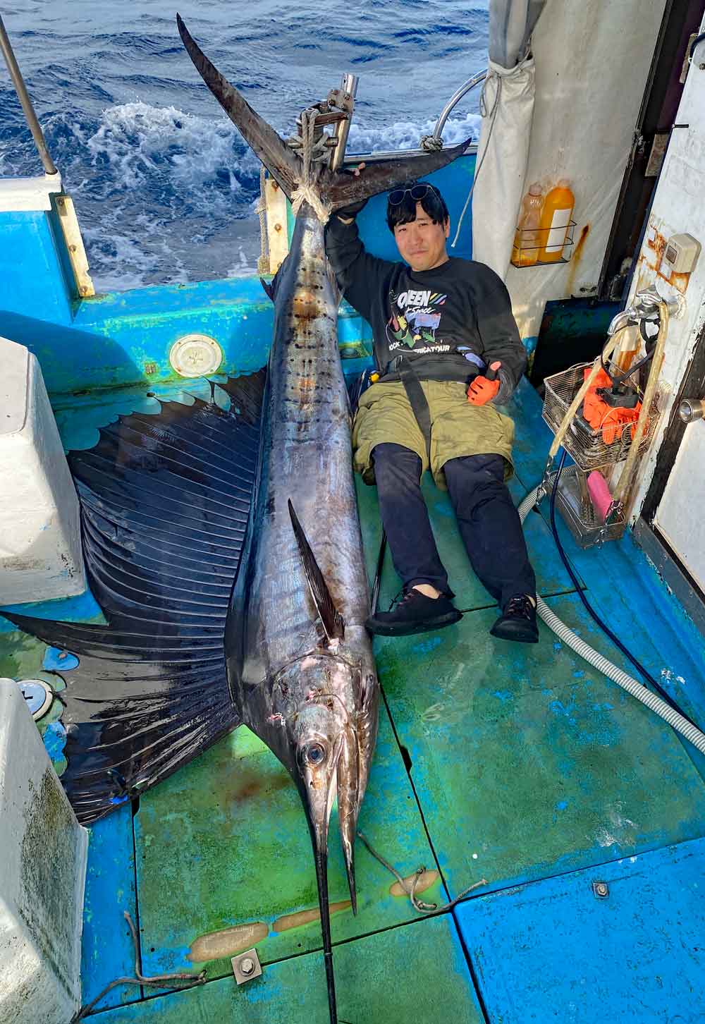 2025年の元旦にトローリングで釣り上げたバショウカジキ(Sailfish)