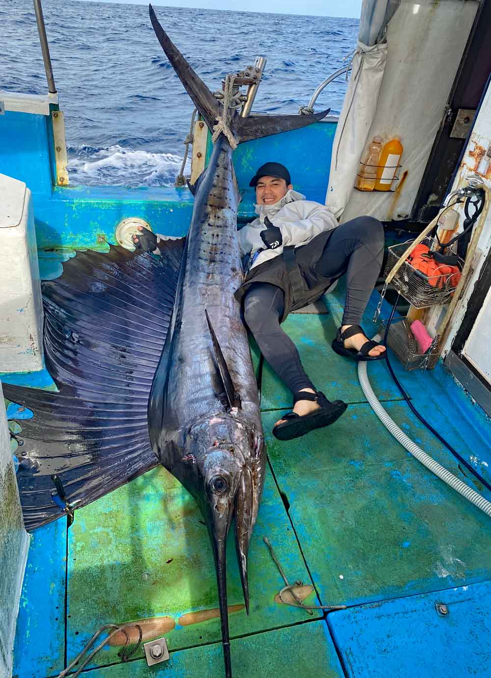 2025年の元旦に沖縄のトローリングで釣り上げたバショウカジキ(Sailfish)