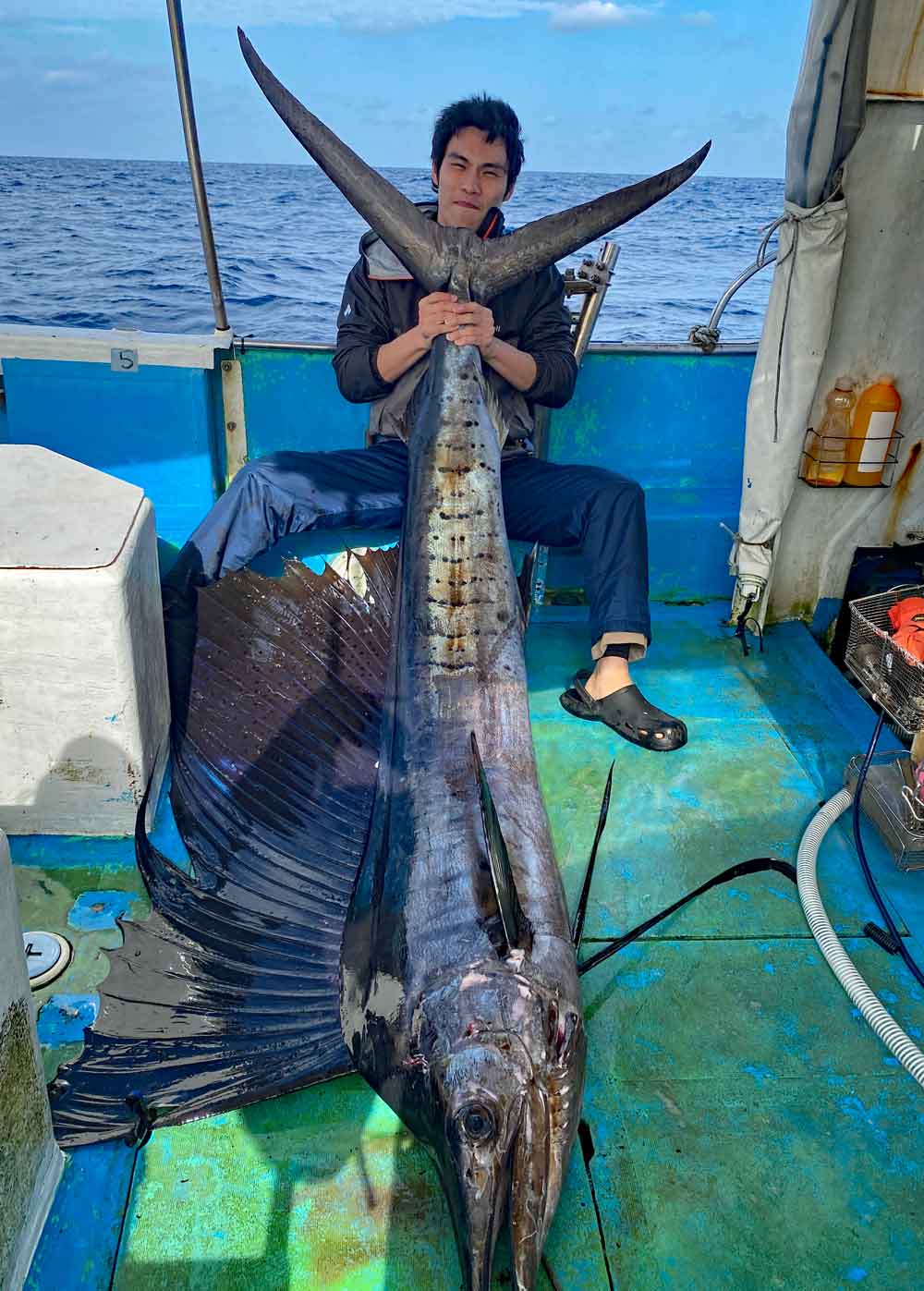 2025年の元旦にトローリングで釣り上げたバショウカジキ(Sailfish)の尾を持ち上げている男性