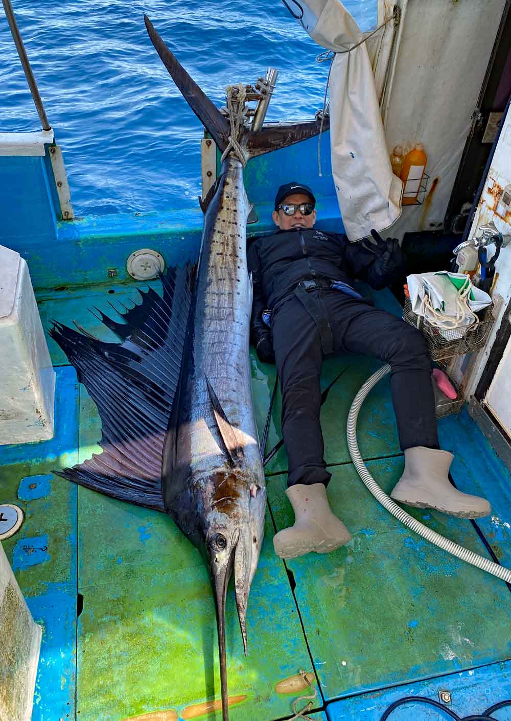 沖縄のトローリングで釣り上げたバショウカジキ/sailfish