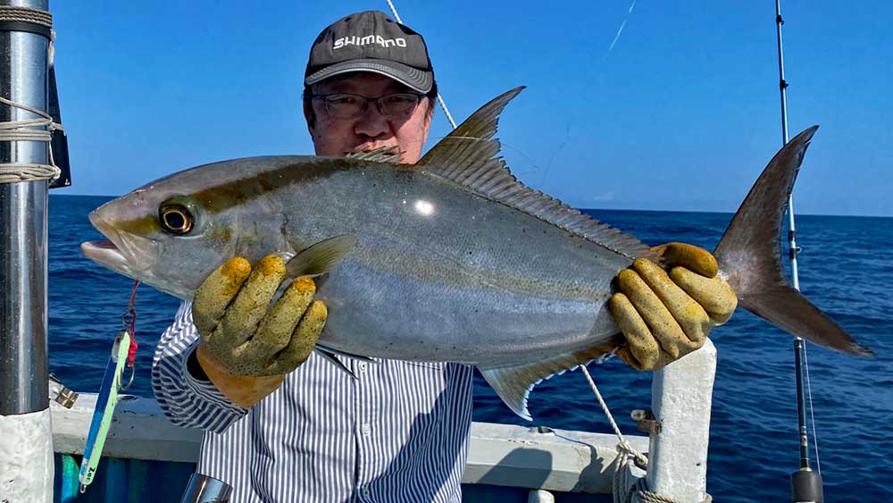 ジギングで釣り上げたヒレナガカンパチ