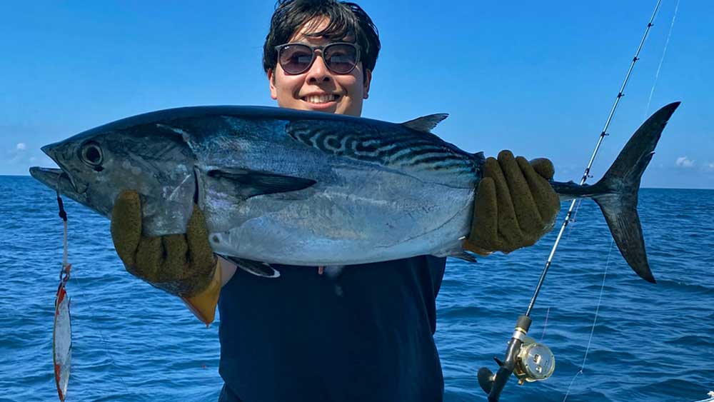 ジギングで釣り上げたスマ