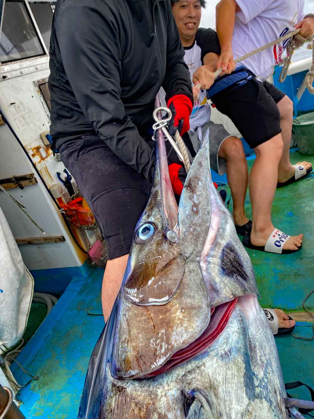 釣り上げた大物カジキを船に引き上げる3人の男性