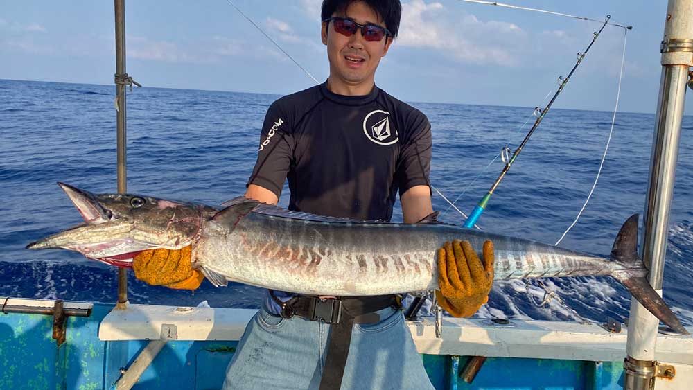トローリングで釣り上げたカマスサワラ