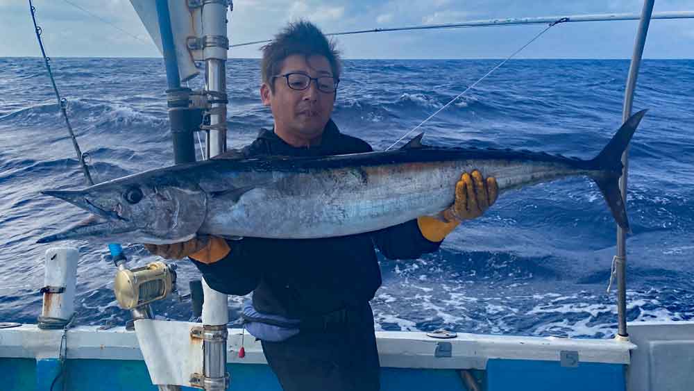 ライトトローリングで釣り上げたカマスサワラ