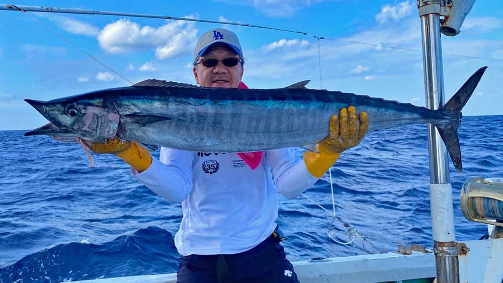 沖縄のトローリングで釣り上げたカマスサワラ