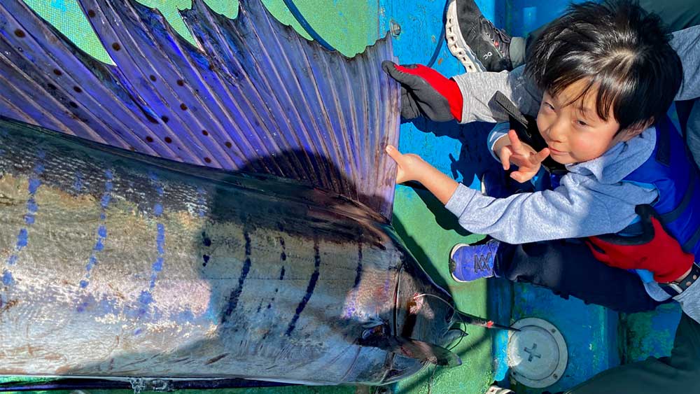 バショウカジキのヒレをつかむ少年