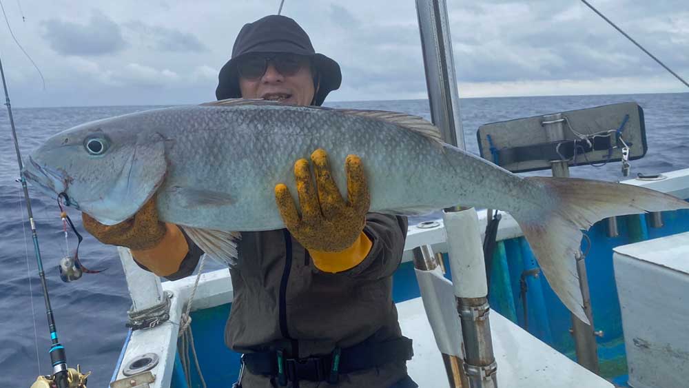 沖縄のタイラバで釣り上げたアオチビキ