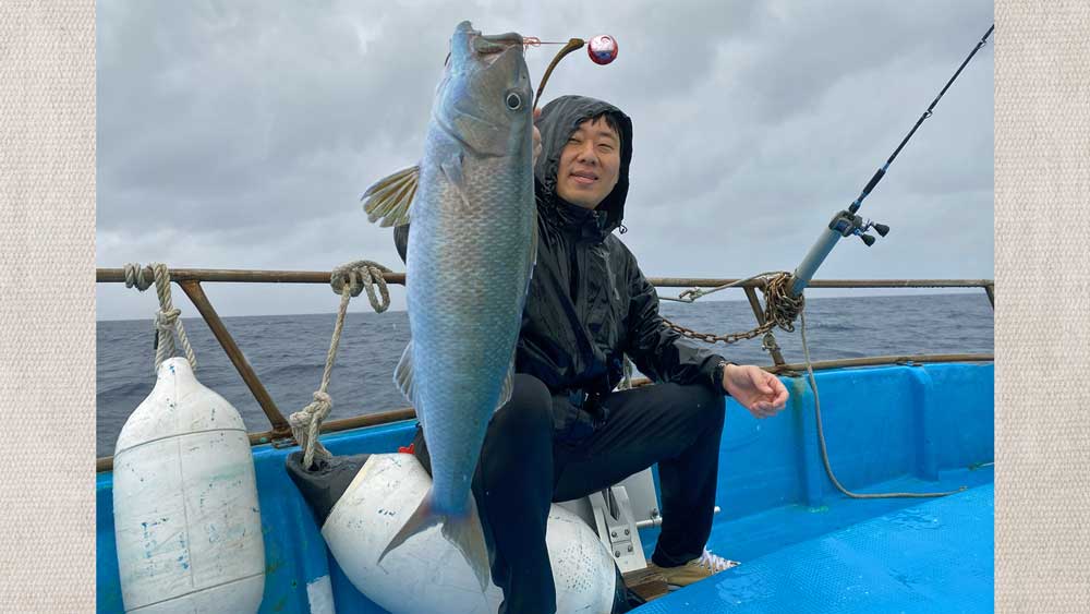 タイラバで釣り上げたオーマチ/アオチビキ