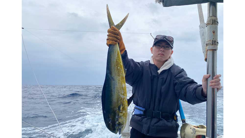 トローリングで釣り上げたシイラ