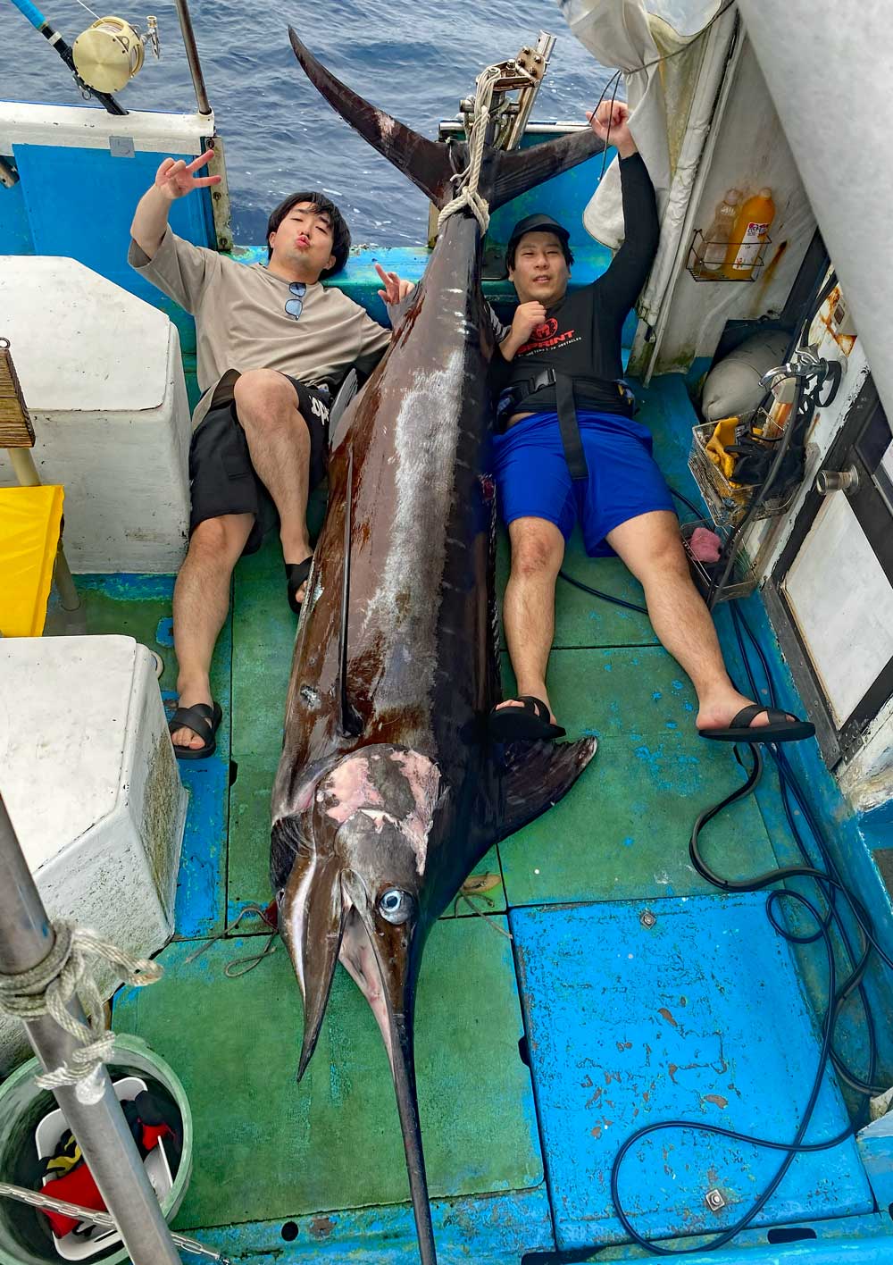 沖縄のトローリングで140kgの大物カジキを釣り上げた東京の二人