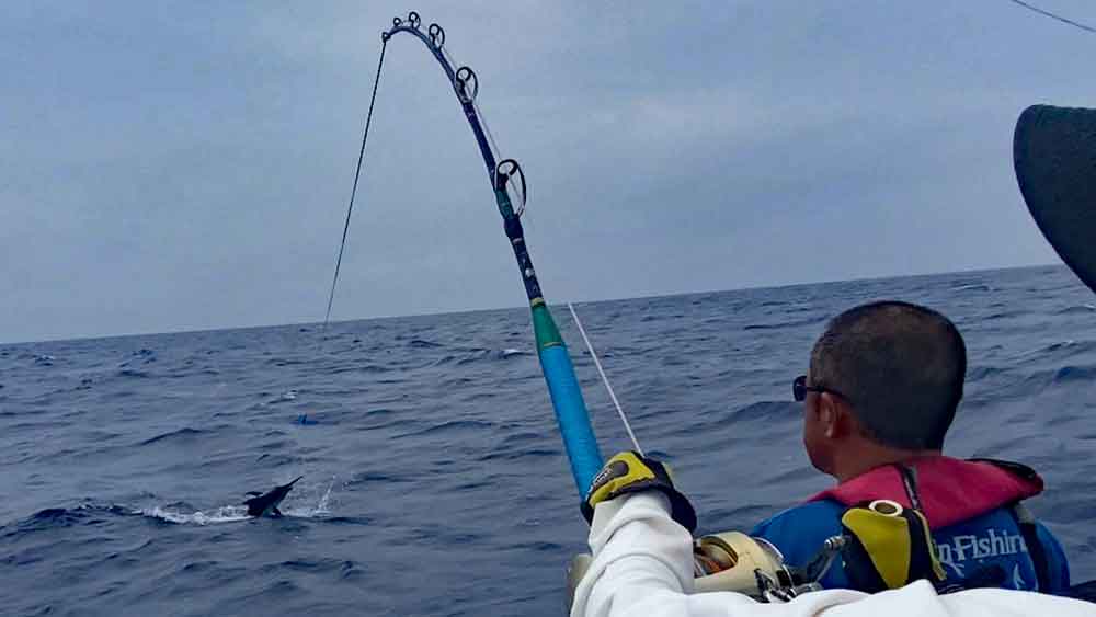 鶴丸の船尾後方で水面から飛び出したカジキ