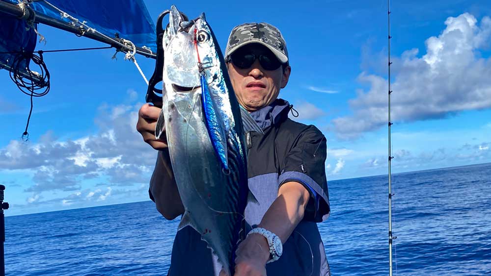 ジギングで釣り上げたスマ