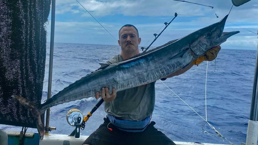 トローリングで釣り上げたカマスサワラ
