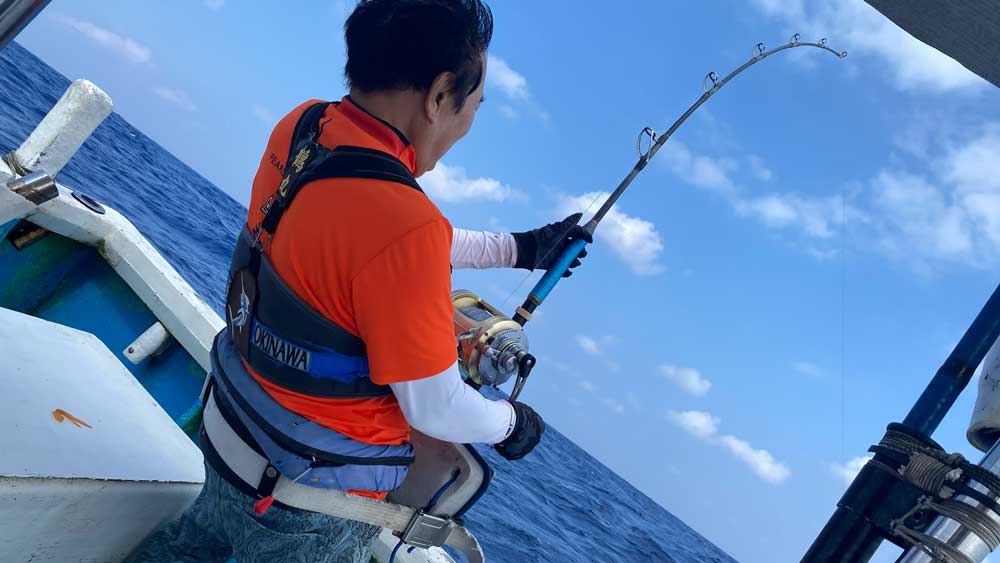 カジキ釣りをしている男性の後ろ姿